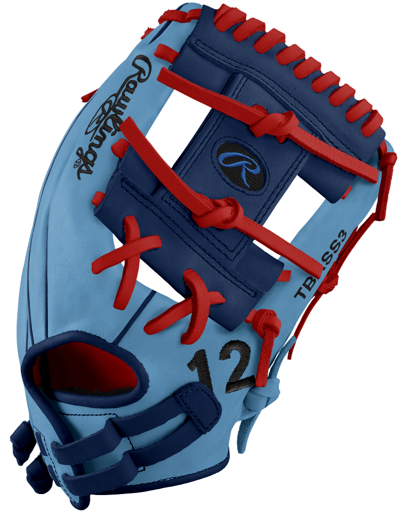 Rawlings Custom Heart of The Hide Series Baseball Glove Special Ord The Baseball Softball Shop