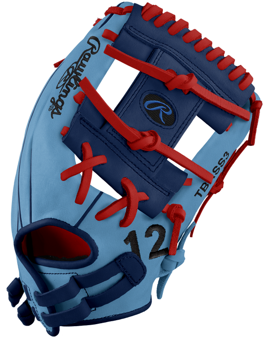 Rawlings "Custom" Heart of The Hide Series Baseball Glove  *Special Order*